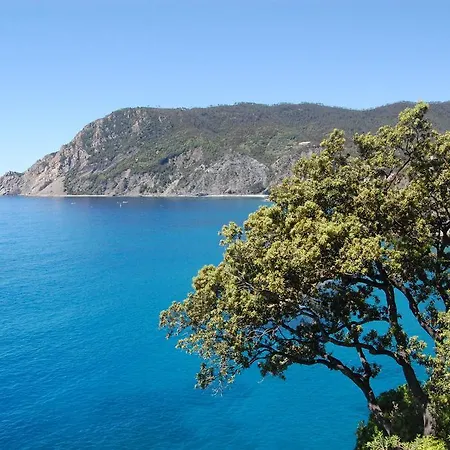 게스트하우스 아피타카메레 이레네 몬테로소 알 마레